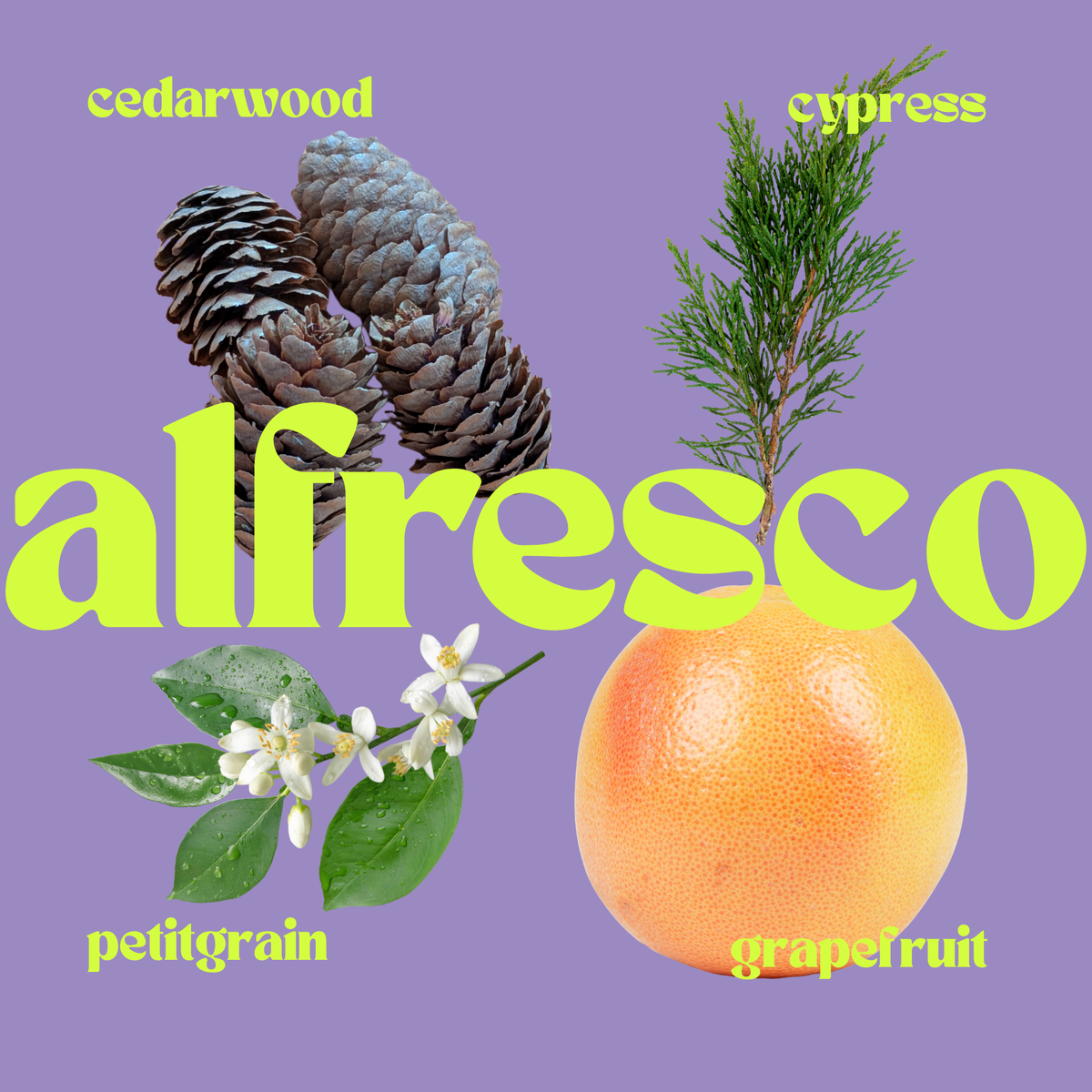 AIRO – ALFRESCO Aromatherapie Raumspray