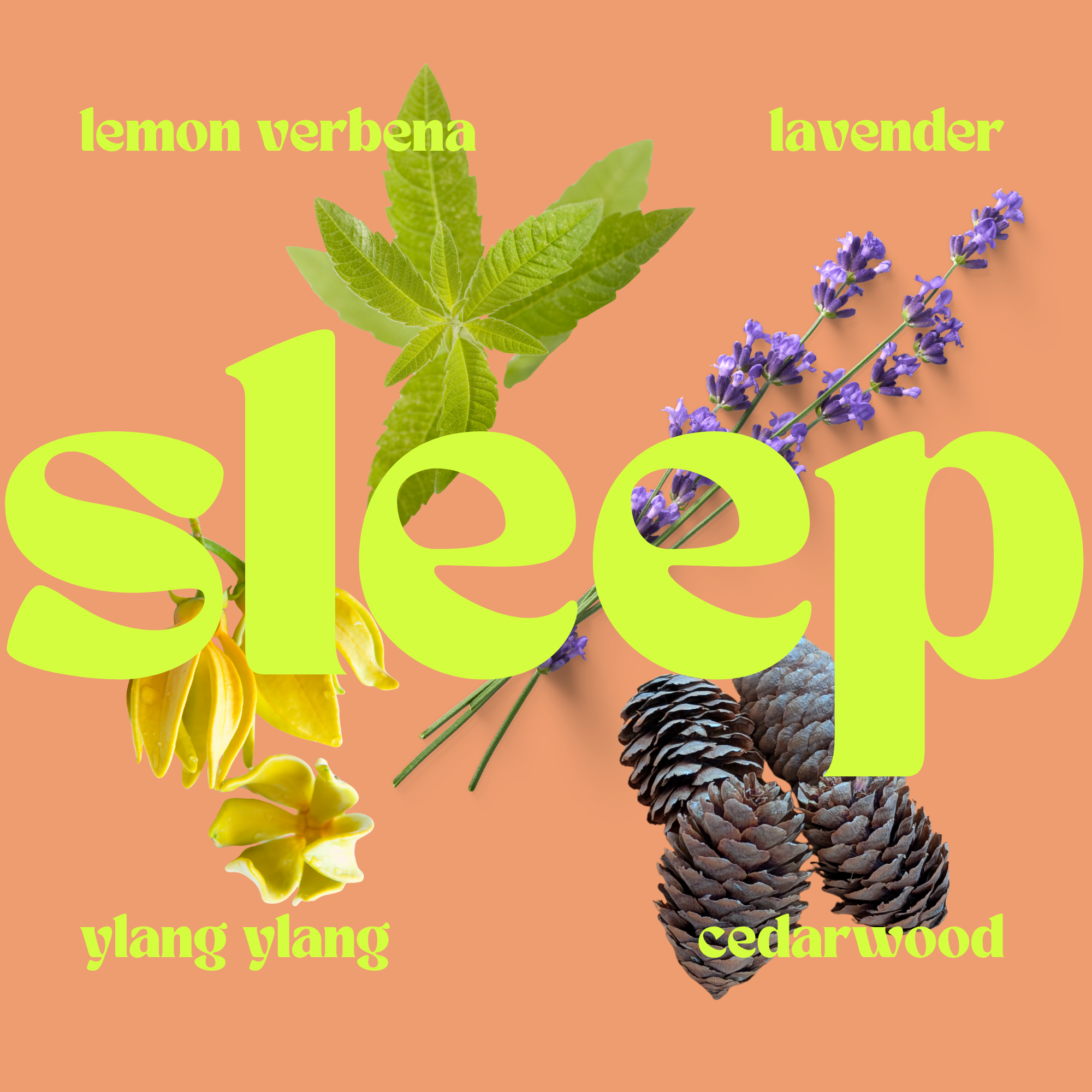 AIRO – SLEEP Aromatherapie Duftkerze