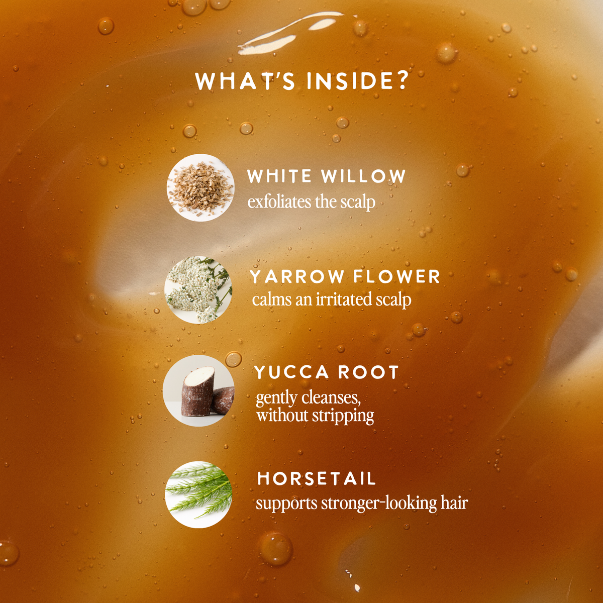 UNDER LUNA – Warrior Shampoo